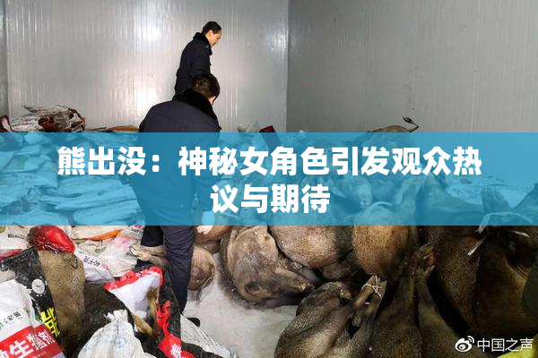 熊出没：神秘女角色引发观众热议与期待