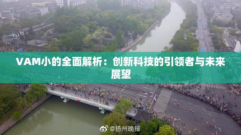 VAM小的全面解析：创新科技的引领者与未来展望