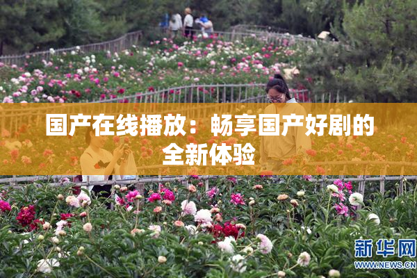 国产在线播放：畅享国产好剧的全新体验