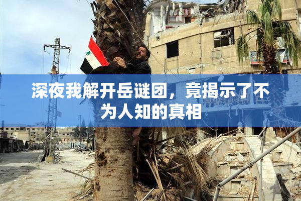 深夜我解开岳谜团，竟揭示了不为人知的真相