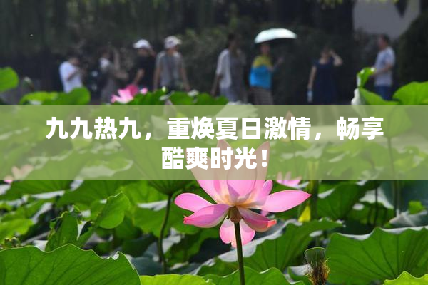 九九热九，重焕夏日激情，畅享酷爽时光！