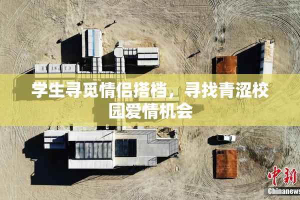 学生寻觅情侣搭档，寻找青涩校园爱情机会