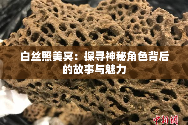 白丝照美冥：探寻神秘角色背后的故事与魅力