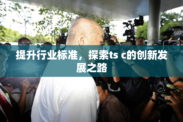 提升行业标准，探索ts c的创新发展之路