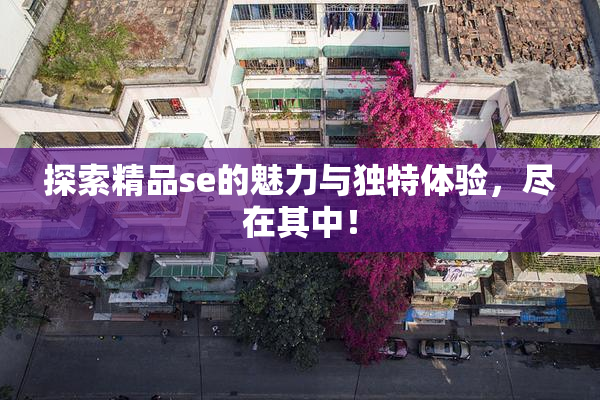 探索精品se的魅力与独特体验，尽在其中！