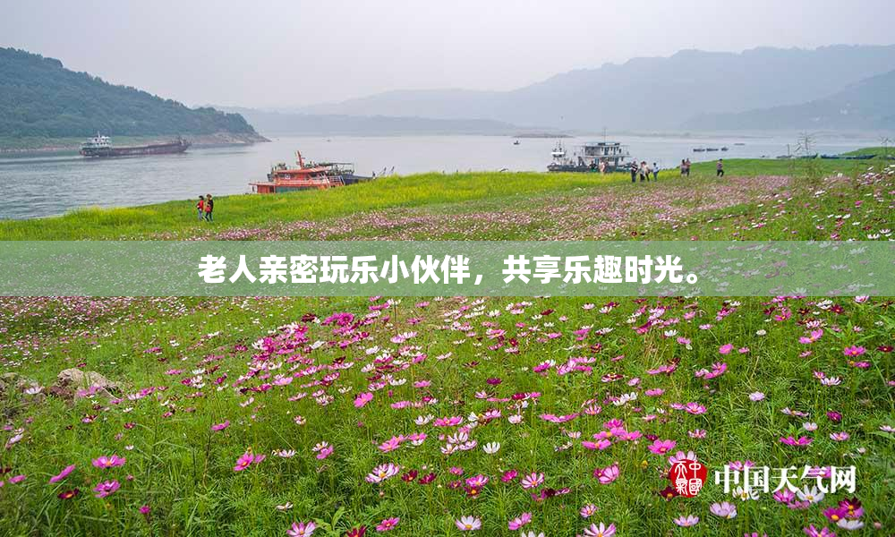 老人亲密玩乐小伙伴，共享乐趣时光。