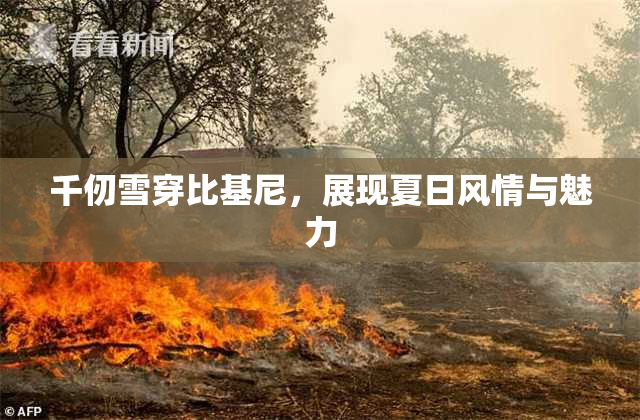 千仞雪穿比基尼，展现夏日风情与魅力