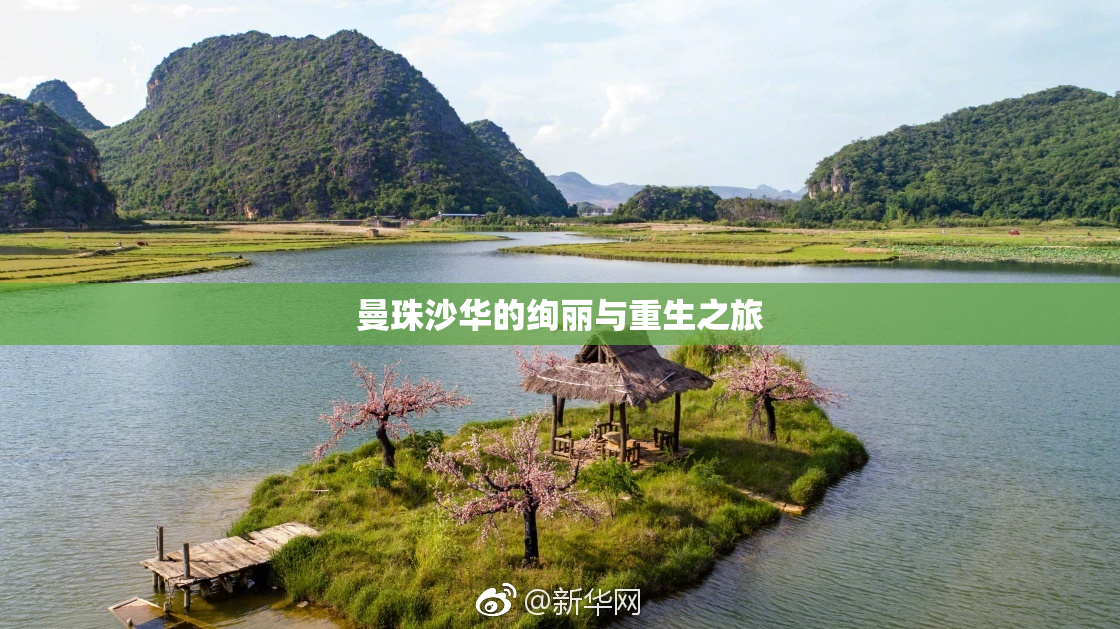 曼珠沙华的绚丽与重生之旅