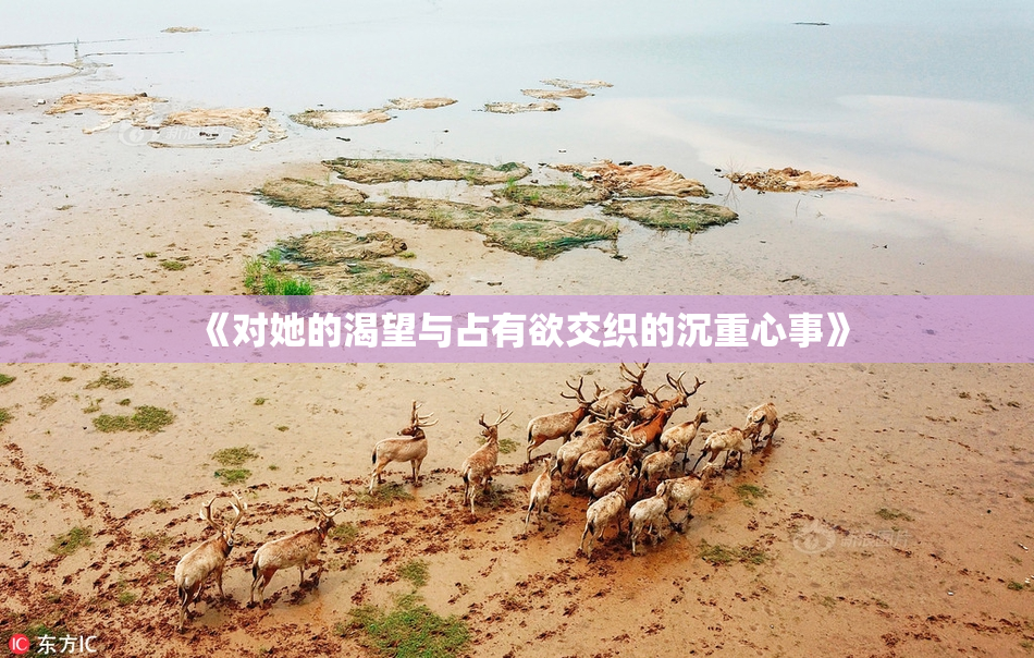 《对她的渴望与占有欲交织的沉重心事》