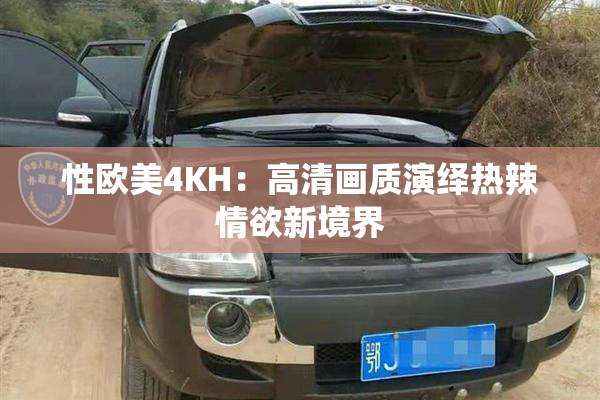 性欧美4KH：高清画质演绎热辣情欲新境界