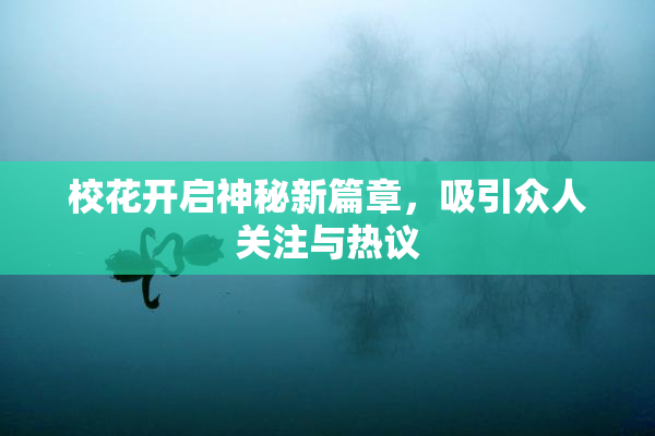 校花开启神秘新篇章，吸引众人关注与热议