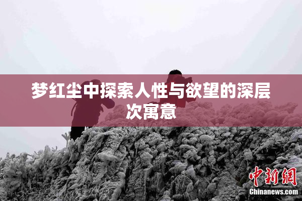 梦红尘中探索人性与欲望的深层次寓意