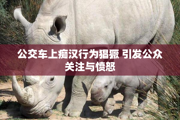 公交车上痴汉行为猖獗 引发公众关注与愤怒