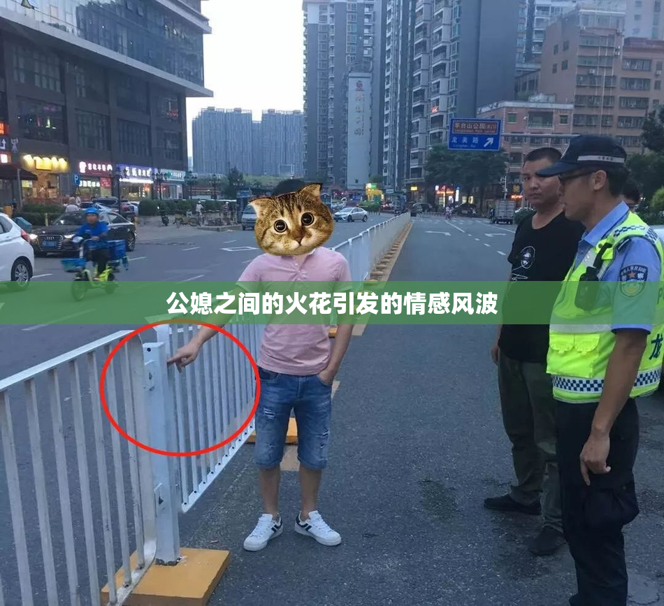 公媳之间的火花引发的情感风波