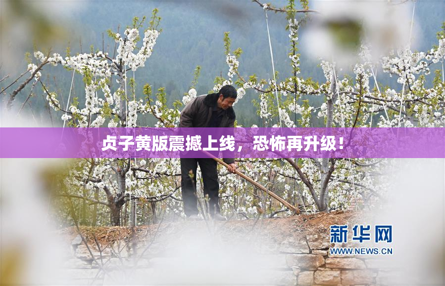 贞子黄版震撼上线，恐怖再升级！