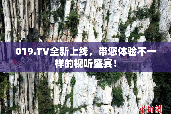 019.TV全新上线，带您体验不一样的视听盛宴！