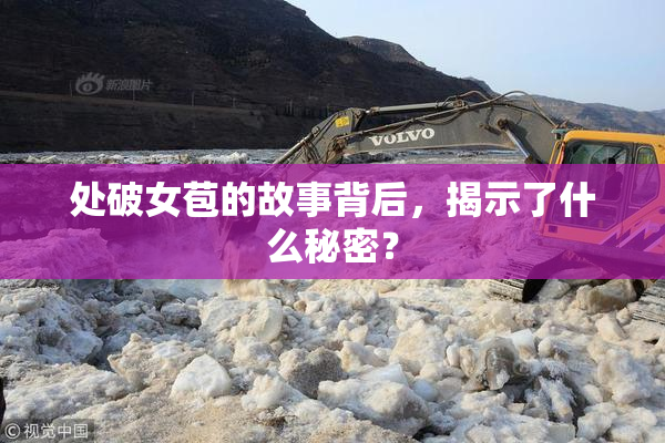 处破女苞的故事背后，揭示了什么秘密？