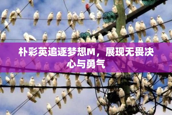 朴彩英追逐梦想M，展现无畏决心与勇气