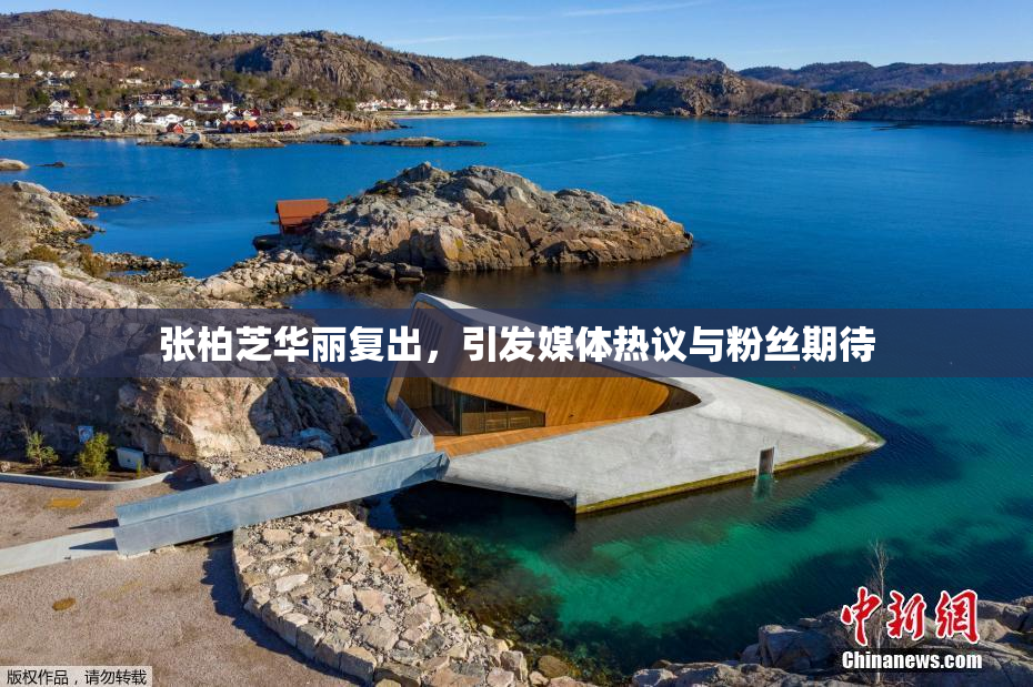 张柏芝华丽复出，引发媒体热议与粉丝期待