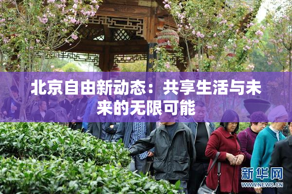 北京自由新动态：共享生活与未来的无限可能