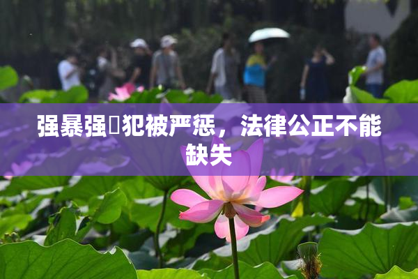 强暴强姦犯被严惩，法律公正不能缺失