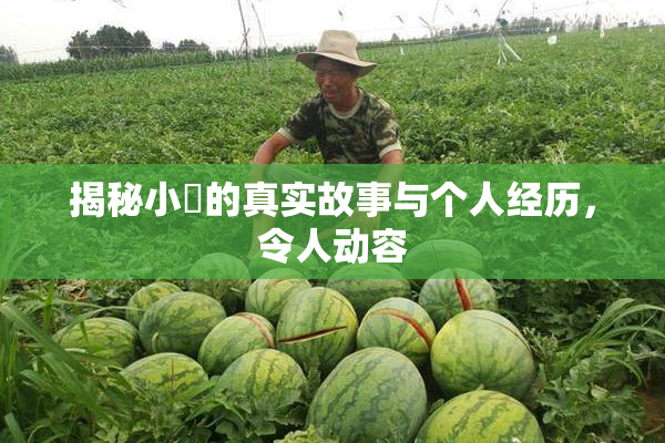 揭秘小泬的真实故事与个人经历，令人动容