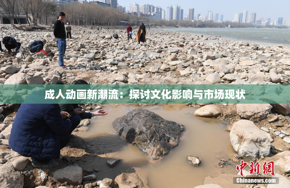 成人动画新潮流：探讨文化影响与市场现状