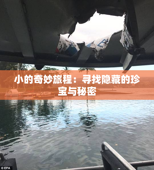 小的奇妙旅程：寻找隐藏的珍宝与秘密