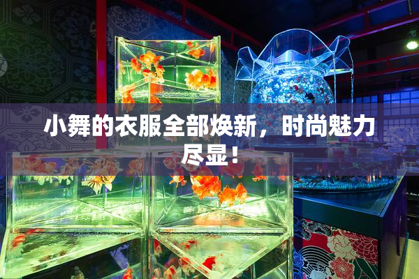 小舞的衣服全部焕新，时尚魅力尽显！