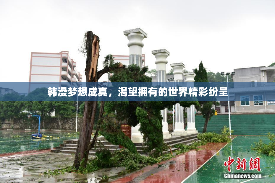 韩漫梦想成真，渴望拥有的世界精彩纷呈