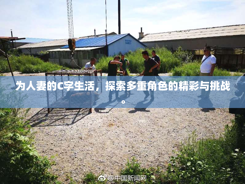 为人妻的C字生活，探索多重角色的精彩与挑战。