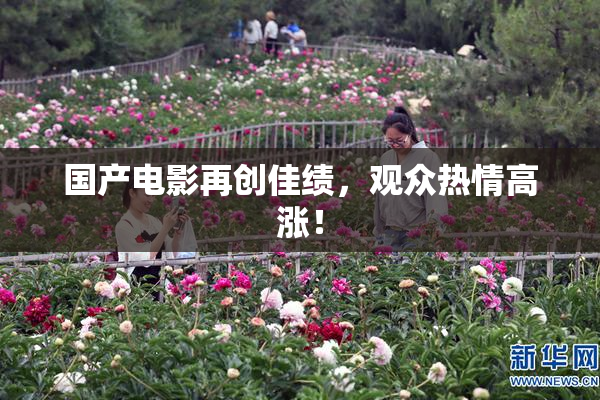 国产电影再创佳绩，观众热情高涨！