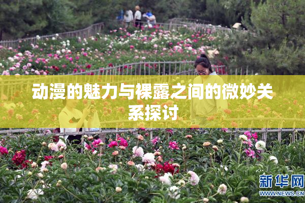 动漫的魅力与裸露之间的微妙关系探讨