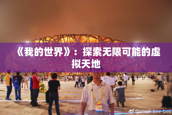 《我的世界》：探索无限可能的虚拟天地