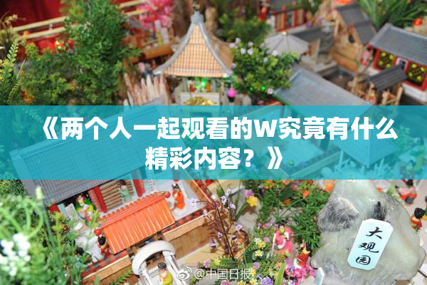 《两个人一起观看的W究竟有什么精彩内容？》
