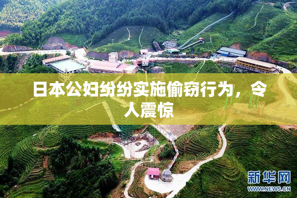 日本公妇纷纷实施偷窃行为，令人震惊