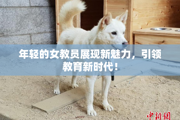 年轻的女教员展现新魅力，引领教育新时代！