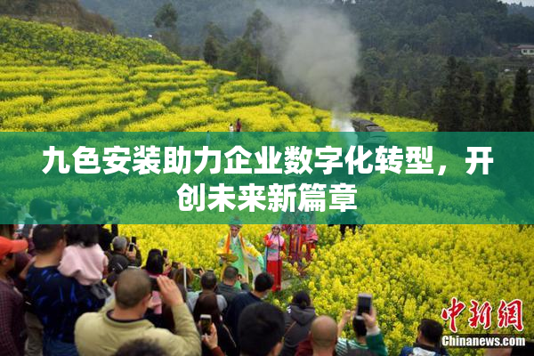 九色安装助力企业数字化转型，开创未来新篇章