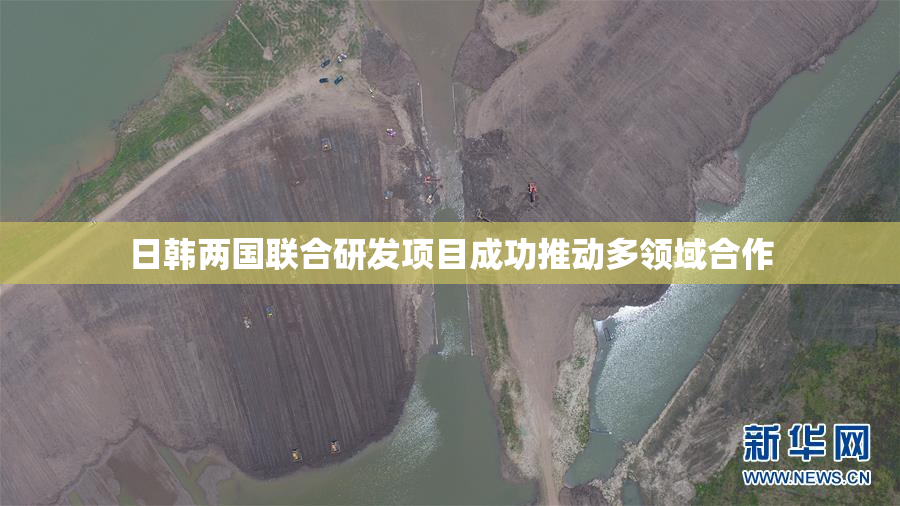 日韩两国联合研发项目成功推动多领域合作