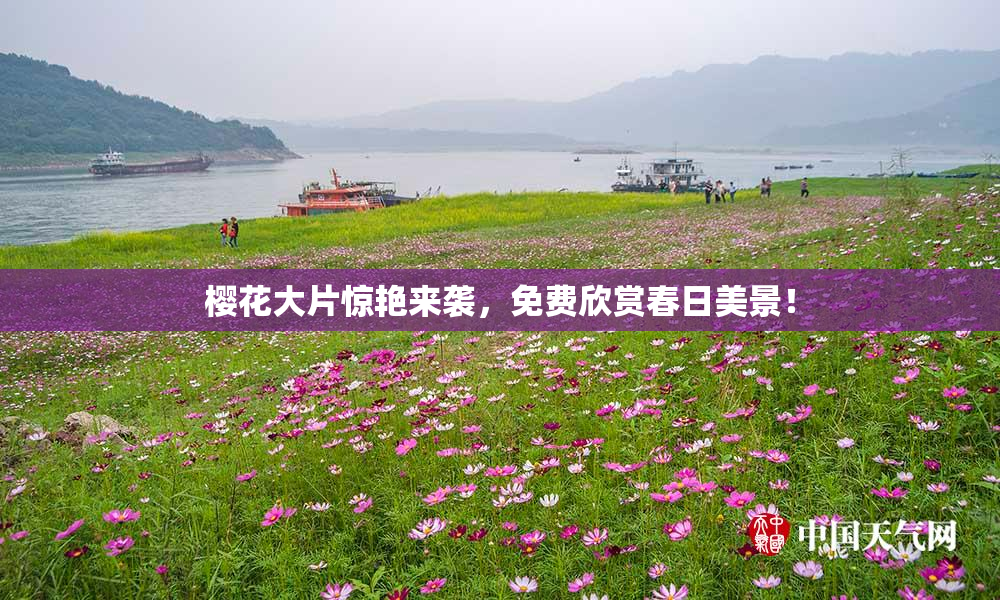 樱花大片惊艳来袭，免费欣赏春日美景！