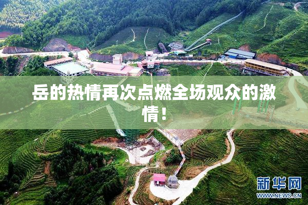 岳的热情再次点燃全场观众的激情！