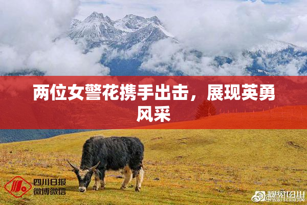 两位女警花携手出击，展现英勇风采