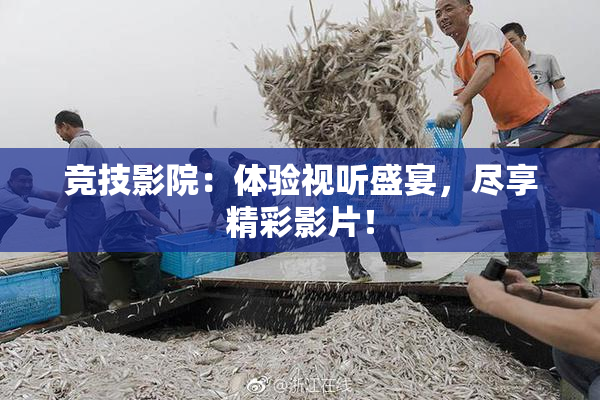 竞技影院：体验视听盛宴，尽享精彩影片！