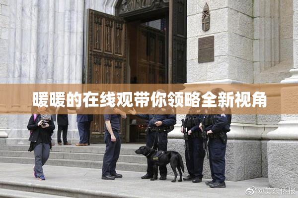 暖暖的在线观带你领略全新视角