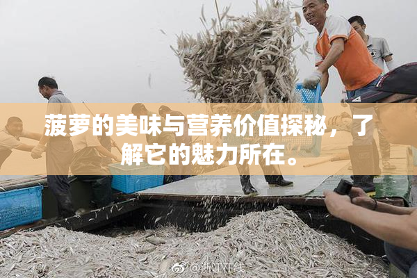 菠萝的美味与营养价值探秘，了解它的魅力所在。