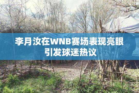 李月汝在WNB赛场表现亮眼 引发球迷热议