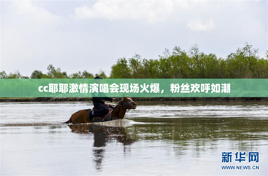 cc耶耶激情演唱会现场火爆，粉丝欢呼如潮