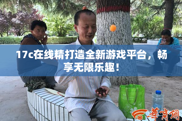 17c在线精打造全新游戏平台，畅享无限乐趣！