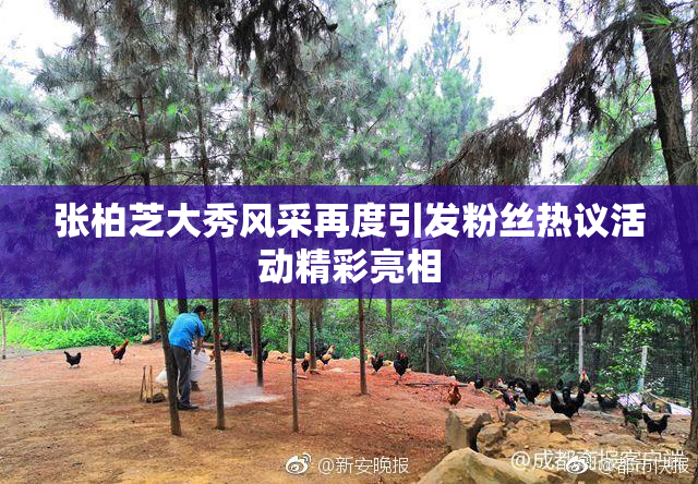 张柏芝大秀风采再度引发粉丝热议活动精彩亮相