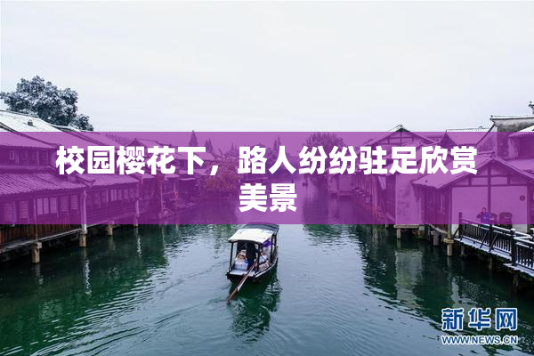 校园樱花下，路人纷纷驻足欣赏美景